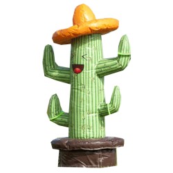 CACTUS ANNEAUX n° L050-0040