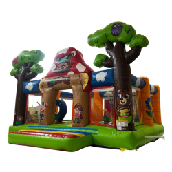 Aire gonflable CHAMPETRE - n° L010-030