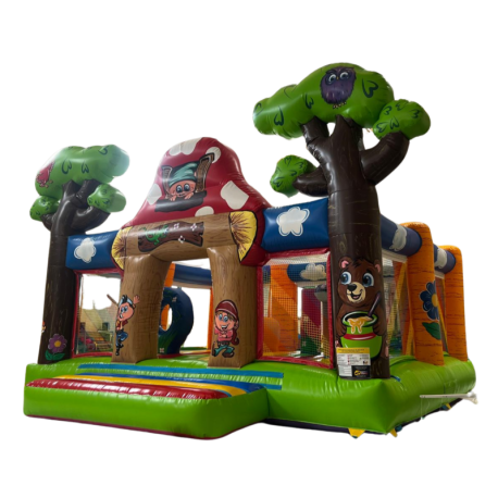 Aire gonflable CHAMPETRE - n° L010-030